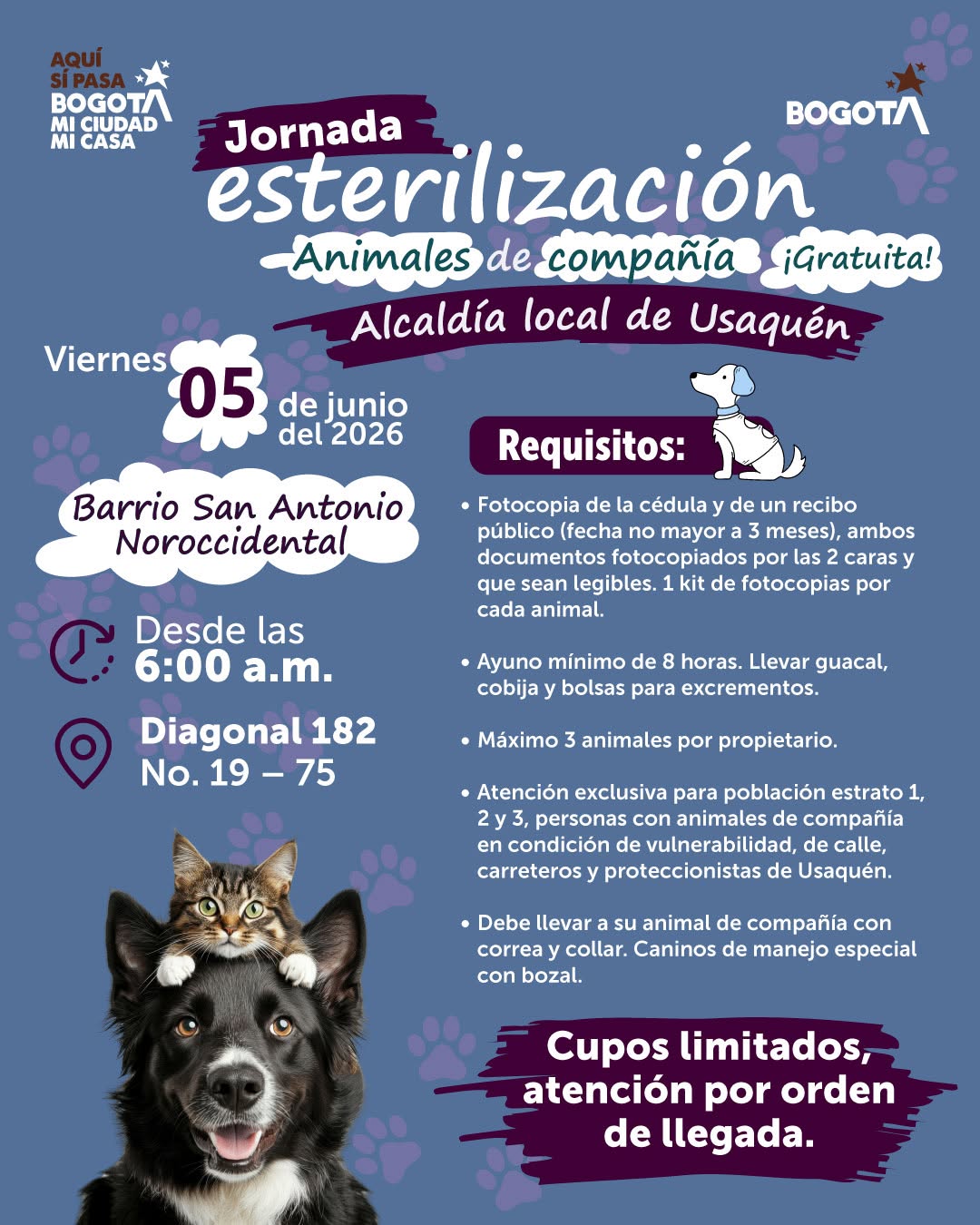 JORNADAS DE ESTERILIZACIÓN
